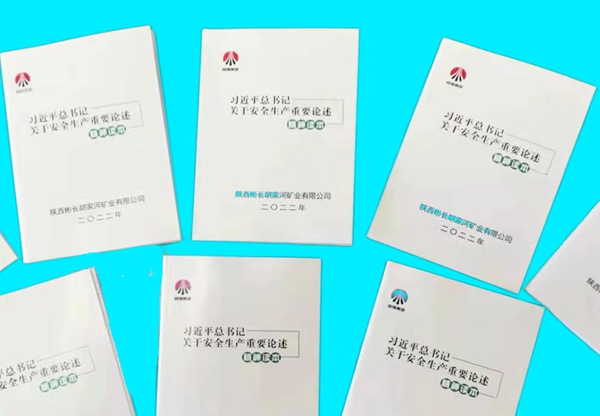 習(xí)近平總書記關(guān)于安全生產(chǎn)重要論述精神讀本 .jpg