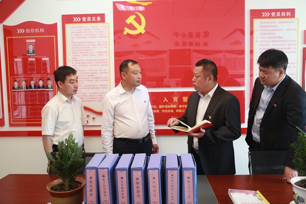 1684926062179694.jpg 檢查指導(dǎo)支部黨建工作_副本.jpg