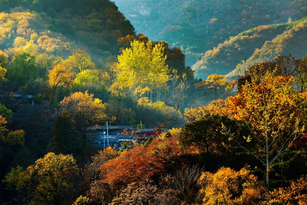 1695721725639082.jpg 秋日隨想_副本.jpg