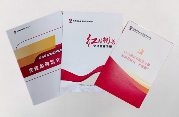 1.“紅動彬長”黨建品牌.jpg