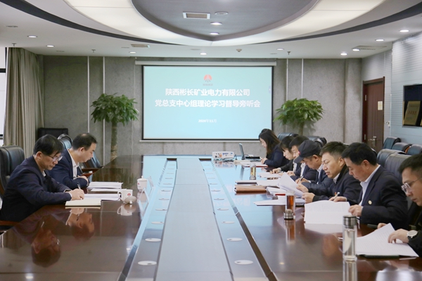 黨總支理論中心組學(xué)習(xí)研討會(huì)_副本.jpg