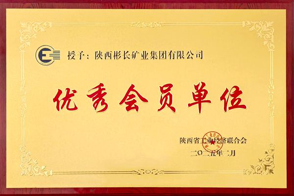 陜西省工業經濟聯合會2024年度優秀會員單位_副本.jpg