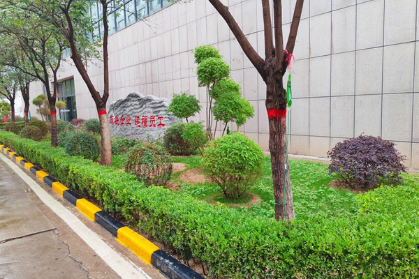 2礦區綠化_副本.jpg