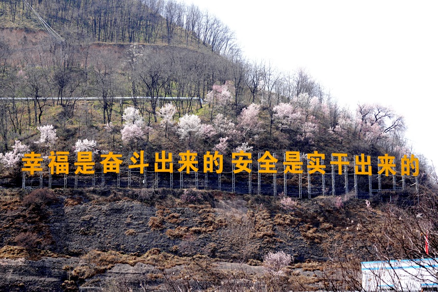 DSC07284_副本.jpg